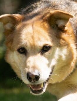 Ines - Freundlich und liebenswert - Obertshausen