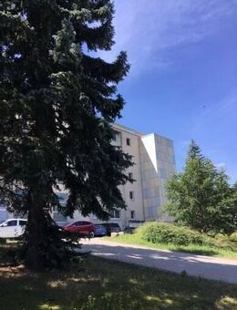 Schöne seniorengerechte 2-Raum-Wohnung mit ebenerdiger Dusche - Stollberg (Erzgebirge)