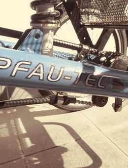 Pfautec Scooter-E-Trike - Nortorf Zentrum