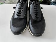 Not for everyone: Gepflegte Bruno Banani Sneakers black in 44. - Berlin