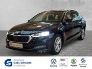 Skoda Octavia, 2.0 TDI Combi First Edition, Jahr 2021 - Haselünne