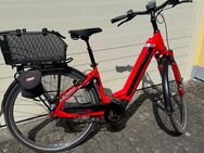 Damen Pegasus E-Bike 28 Zoll - Bonn Bechlinghoven
