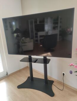 " Monitor von Philips günstig in Chemnitz zu verkaufen - Chemnitz