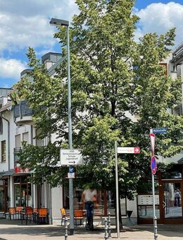 Attraktive Kapitalanlage in Budenheim, vor den Toren von Mainz! - Budenheim