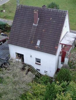 **Absolute Seltenheit, freistehendes Einfamilienhaus in einer einzigartigen Landschaft von Leimen** - Leimen (Rheinland-Pfalz)