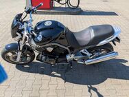 Verkaufe meine Yamaha Bulldog 1100BT - Warendorf