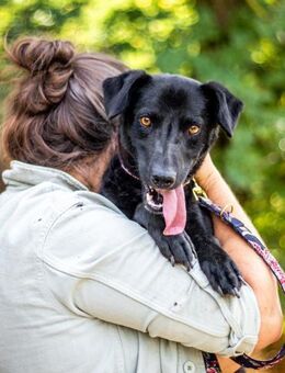 Cézár, fröhlicher Clown, ca. 5 Jahre - Vaterstetten