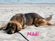 Mädi bezauberndes Mädchen 07/2023 GRC - Ruppertsecken