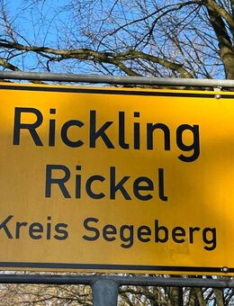 Erdgeschoss-Wohnung - Rickling