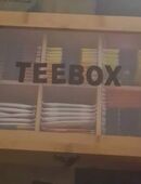 Teebox gefüllt mit 12 x 5 liebevoll zusammen gestellten verschiedenen Gesundheitstees und Früchteteesorten in 04159