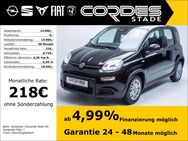 Fiat Panda, 1.0 Pandina Mild Hybrid, Jahr 2024 - Stade (Hansestadt)