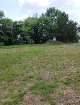ideales Grundstück (Bauland) in Erftstadt-Friesheim - Weilerswist