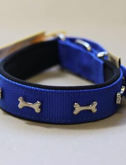 Große Menge Hundezubehör – ca 1.100Teile – neu - Köln