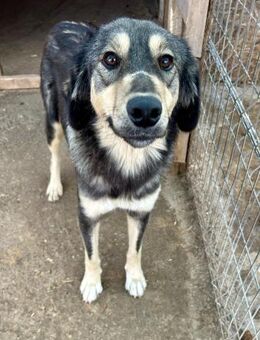 Hope gibt die Hoffnung nicht auf - Großefehn