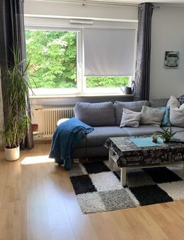 Möbliertes 1-Zimmer-Apartment in München - befristet 05.01.-30.07.2026 - München