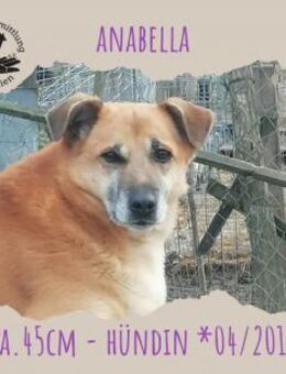 Anabella - Rotenburg (Fulda)