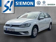 VW Golf Variant, 1.6 TDI 7 Trendline, Jahr 2019 - Lengerich (Nordrhein-Westfalen)