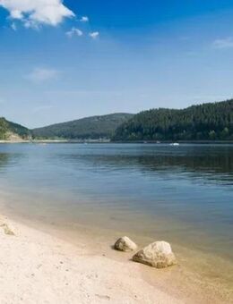Wer kommt mit an den Brombachsee? - Roth (Bayern)