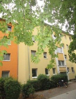 Preiswerte und individuelle 3 Zimmer-Wohnung - Biebesheim (Rhein)