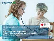 Hospitation für angehende Weiterbildungsassistenten (m/w/d) für Transfusionsmedizin - Hagen (Stadt der FernUniversität)