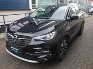 Opel Grandland X, Ultimate, Jahr 2019 - Hachenburg