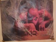 Spiderman poster - Neumünster