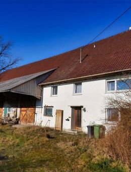 +++ Landwirtschaftliche Hofstelle +++ - Hohentengen