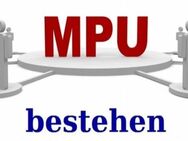 Alle Frage zur MPU - Nürnberg