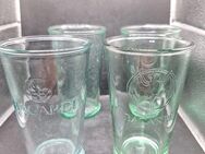 2 Stück original Barcadi Glas 12 cm hoch beide als Set zusammen - Essen