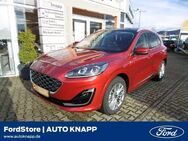 Ford Kuga, 2.5 Vignale Duratec Panoda, Jahr 2021 - Frankenthal (Pfalz)