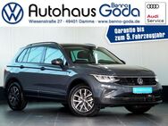 VW Tiguan, 1.5 TSI Life, Jahr 2023 - Damme