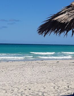 Nette Gespräche - Dortmund