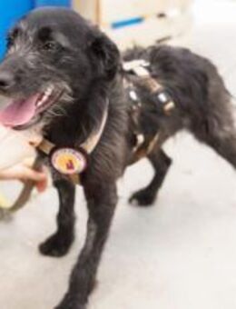 Kiara - Lebenfreude pur - München