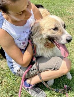 Aufgeschlossen + sozial = GOETHE ♥️ - München