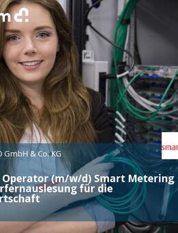 IT-System Operator (m/w/d) Smart Metering und Zählerfernauslesung für die Energiewirtschaft - Münster