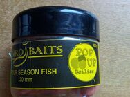 Neu! Boilie Pop Up Eurobaits Four Season Fisch D:20mm I:100g - Kirchheim (Teck) Zentrum