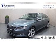 Skoda Superb Combi DSG STHZG PANO CAM NAVI FLA SHZ - Wardenburg