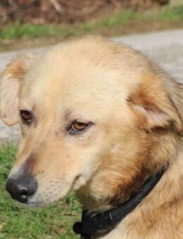 Alma - kleiner Sonnenschein - Kissing