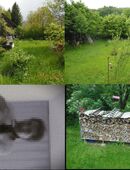 Er 57 sucht Sie im Allgäu (KF) in 87600