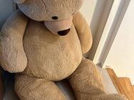 Riesen Teddy über 185cm - Schwelm