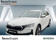 Skoda Octavia, 2.0 TDI Combi W Selection, Jahr 2024 - Gummersbach