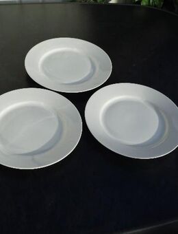 Wellco Design Trend weiß Porzellan 3 Teller flach rund 24 cm van Well zus. 3,- - Flensburg