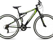 KS Cycling Mountainbike Scrawler, 21 Gang Shimano Tourney Schaltwerk, Kettenschaltung, für Herren, Kettenschaltung