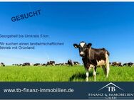 !GESUCHT! Landwirtschaftlicher Betrieb mit Grünland - Südbrookmerland