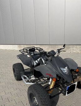 Sport Quad ATV Standard Motor Conyon 300 mit Rückwärtsgang 2015 - Norderstedt
