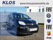 Fiat Panda, 1.0 HYBRID GSE 70PS E6D FINAL, Jahr 2024 - Dreieich