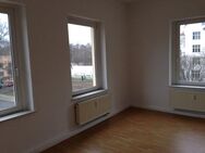 Zentrumsnahe, große, helle 2-Zimmer-Wohnung zu vermieten! - Chemnitz