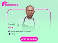 Koch (m/w/d) - Erding