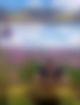 Reg*** - Landau (Pfalz)