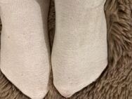 Getragene Socken - Wüstenrot